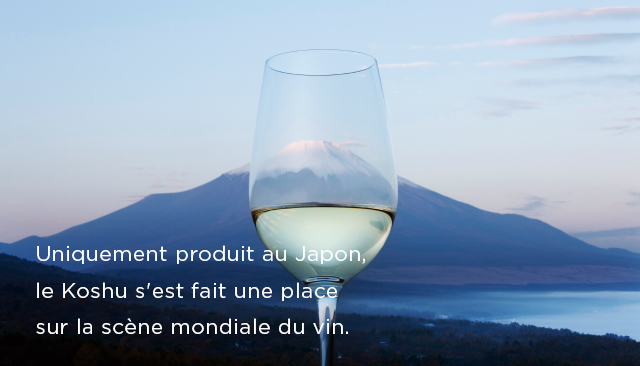 Uniquement produit au Japon,le Koshu s'est fait une place sur la scène mondiale du vin.